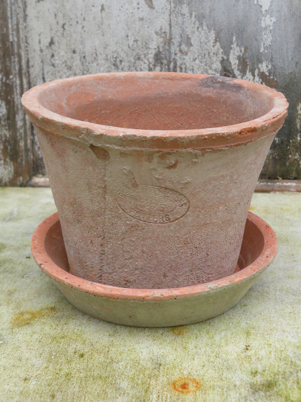 Terracotta pot met schotel