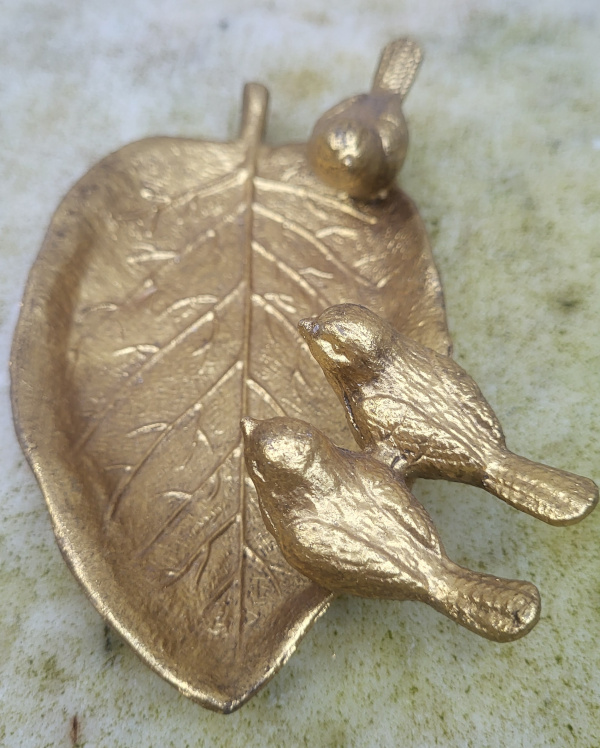 Goudkleurig vogelschaaltje