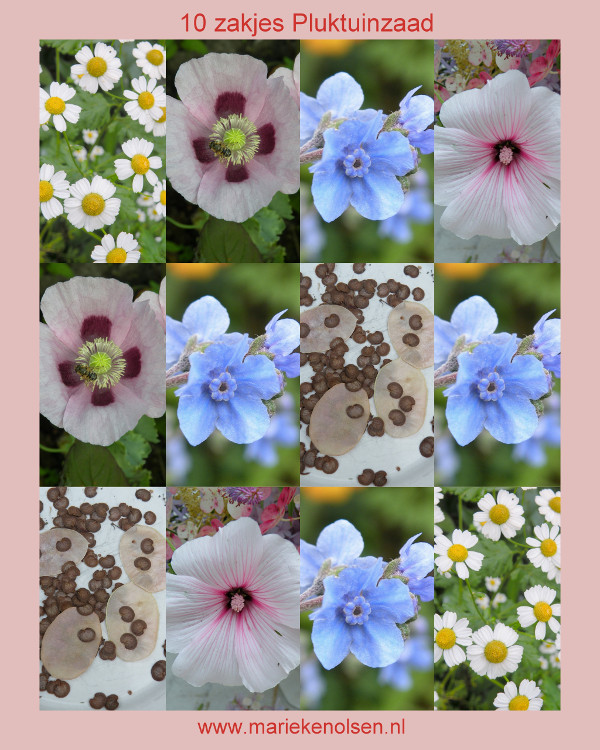10 zakjes Pluktuinzaad